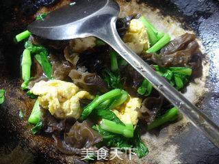黑木耳鸡蛋炒菜芯的做法步骤：9