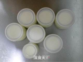 春天多给孩子补补钙——自制酸奶的做法步骤：6