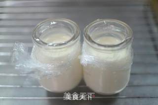 用烤箱制作营养健康的酸奶的做法步骤：5