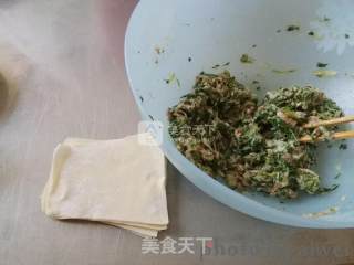 荠菜馄饨的做法步骤：6