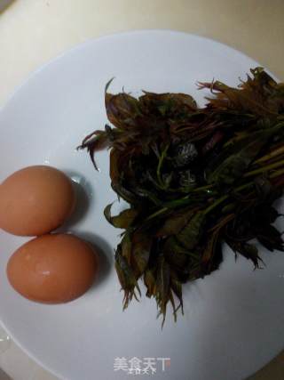 香椿煎鸡蛋的做法步骤：1