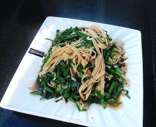 豆腐丝炒韭菜的做法步骤：11