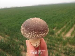 香菇肉片汤的做法步骤：1