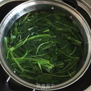 姜汁菠菜的做法步骤：4