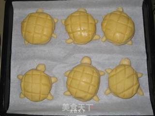 乌龟菠萝包的做法步骤：7