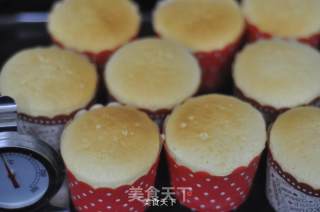 酸奶杯子蛋糕的做法步骤：16