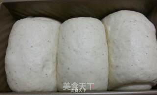 别丢掉了美味——豆渣土司的做法步骤：5