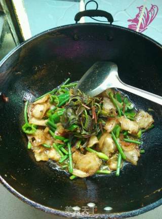 回锅肉的做法步骤：15