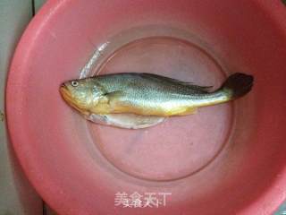 糟香黄鱼的做法步骤：1