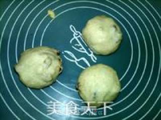 核桃葡萄干面包的做法步骤：15