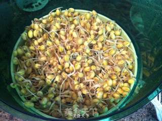黄豆芽拌菠菜的做法步骤：2