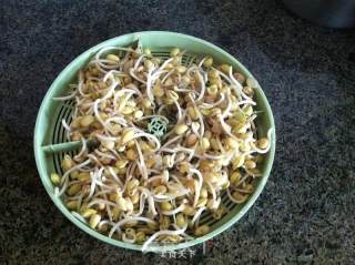 黄豆芽拌菠菜的做法步骤：3