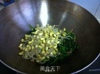 黄豆芽拌菠菜的做法步骤：10