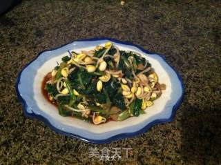 黄豆芽拌菠菜的做法步骤：12