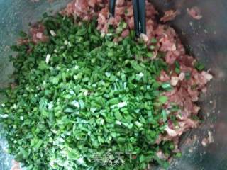 韭菜大肉饺儿的做法步骤：4