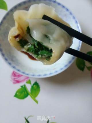 韭菜大肉饺儿的做法步骤：12