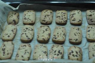蔓越莓饼干的做法步骤：12