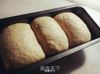 营养粗粮~全麦土司面包的做法步骤：7
