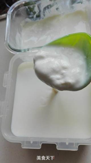 自制希腊酸奶的做法步骤：3
