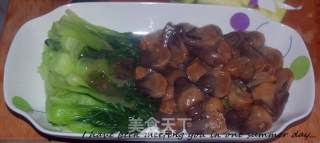 草菇油菜的做法步骤：10