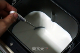 现酿酸奶的做法步骤：3