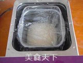 【小麦胚芽馒头】--- 营养粗粮 我的最爱的做法步骤：6