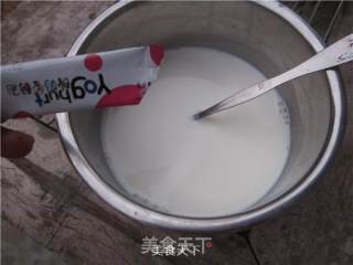 电炖锅制作酸奶的做法步骤：4