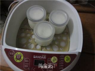 电炖锅制作酸奶的做法步骤：6