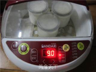 电炖锅制作酸奶的做法步骤：7