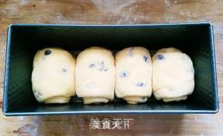 蔓越莓土司的做法步骤：9