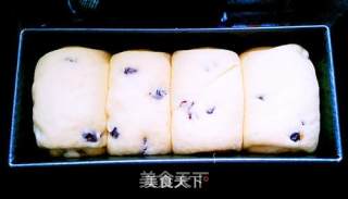 蔓越莓土司的做法步骤：10