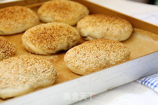 【椒盐芝麻饼】的做法步骤：12