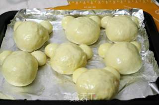 深讨孩子喜爱的小熊豆沙包的做法步骤：7
