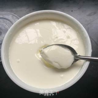 原味酸奶的做法步骤：3