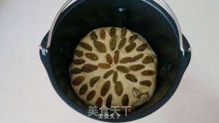 小米发糕的做法步骤：5