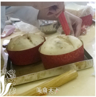[香兰世家]潘妮朵尼 国宝级面包的做法步骤：10