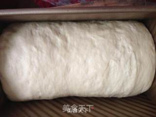 中种蜜豆土司的做法步骤：11
