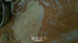 芹菜饺子的做法步骤：6