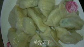 芹菜饺子的做法步骤：8