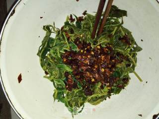 凉拌香椿芽的做法步骤：4