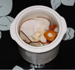 海底椰南北杏糖水的做法步骤：12