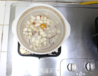 海底椰南北杏糖水的做法步骤：20