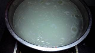 榄菜瘦肉粥的做法步骤：2