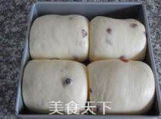 【‬蔓越莓面包】 --- 只要面团好，模具不是问题的做法步骤：14