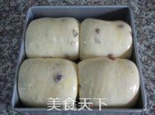 【‬蔓越莓面包】 --- 只要面团好，模具不是问题的做法步骤：15