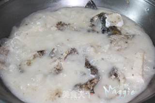 豆腐鱼头汤的做法步骤：9