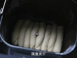 浓郁奶香排包的做法步骤：6