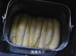 浓郁奶香排包的做法步骤：7