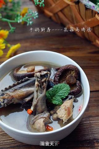 花菇乌鸡汤的做法步骤：11