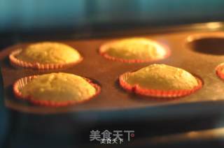 红茶玛芬的做法步骤：8